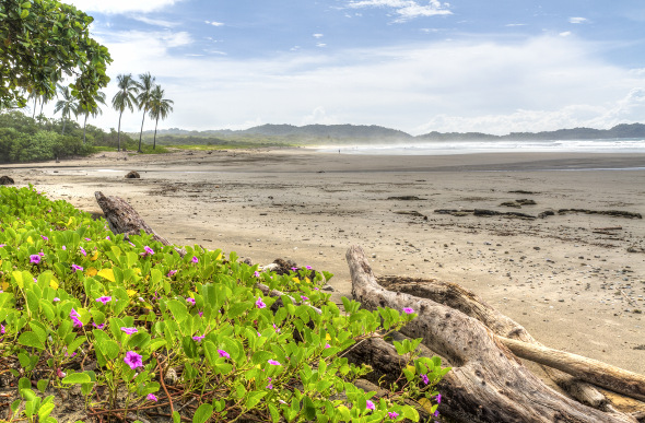 Playa Guiones Costa Rica