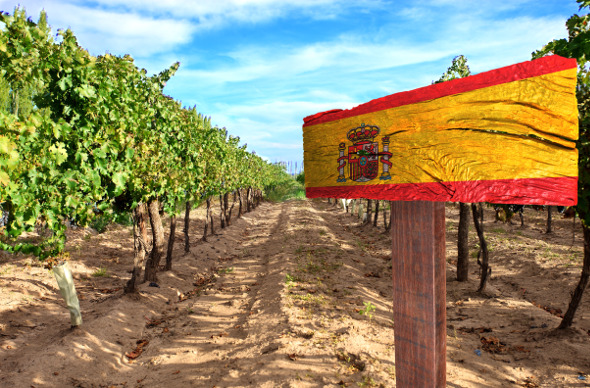 Spanish wine